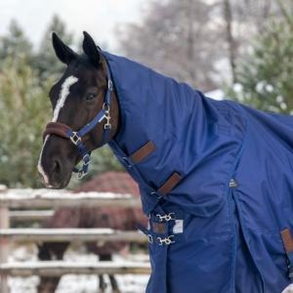 Капор для прогулочной попоны WW150, ПКМ Россия, код 760175-21